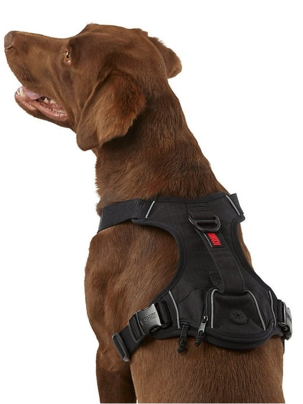 Kong Black Dog Harness